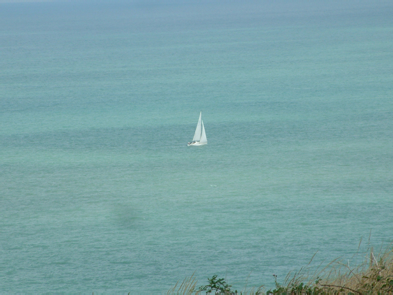 DSCF0107