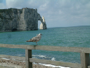 DSCF0057