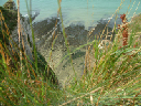DSCF0082