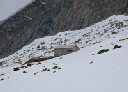DSCF0005_m