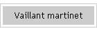 Vaillant martinet