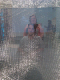 IMAG0790