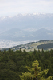_MG_6449