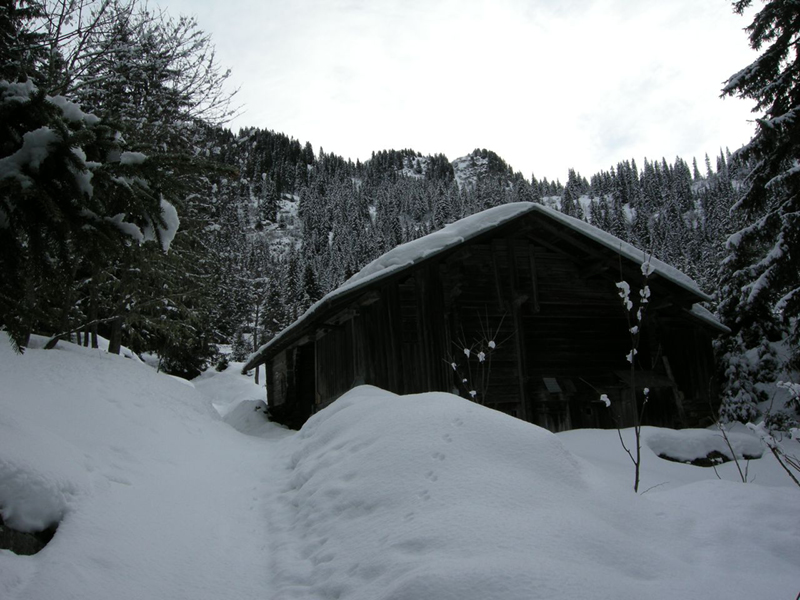 DSCN2462