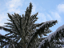 DSCN2466