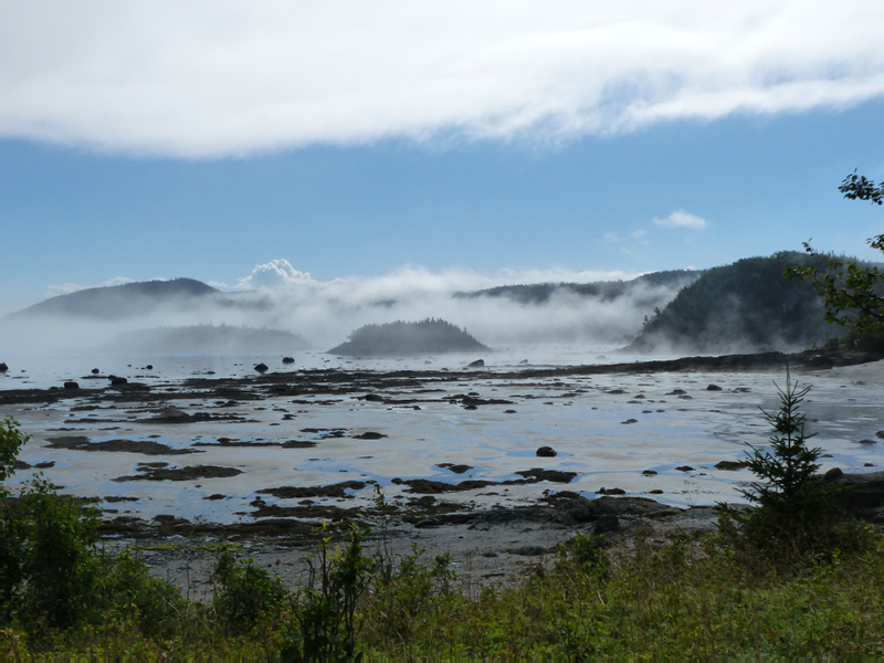 P1000354