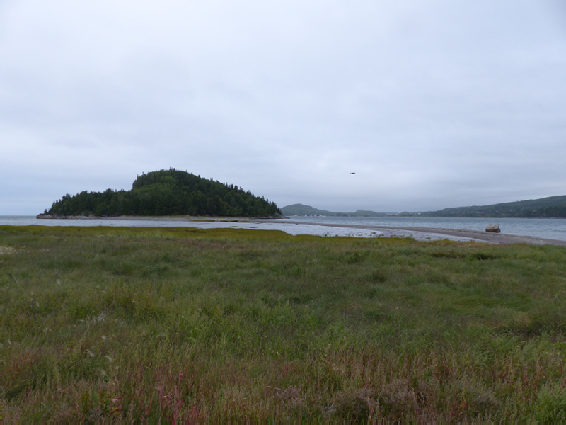 P1000382