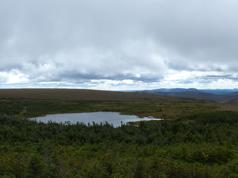 P1000396