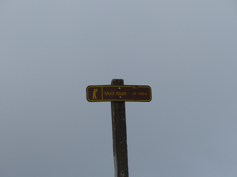 P1000400