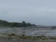 P1000352