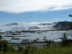 P1000354