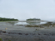 P1000360