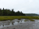 P1000380