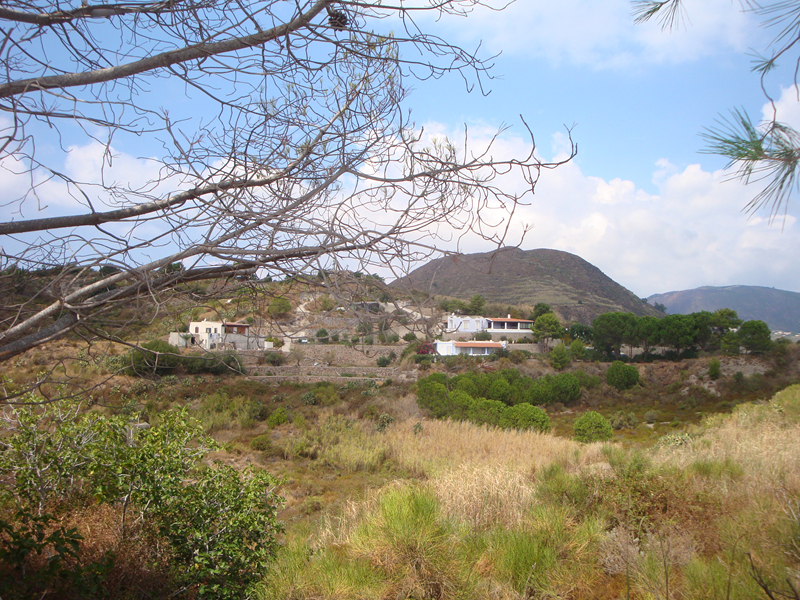 DSC01408